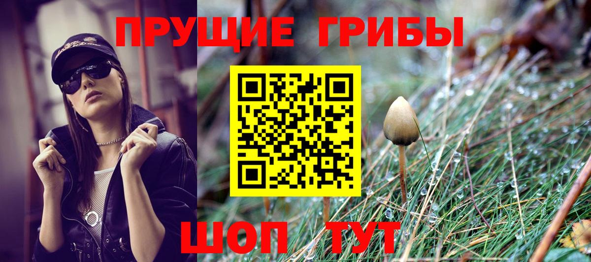 Псилоцибиновые грибы Psilocybine cubensis  Вход с VPN  Псилоцибиновые грибы GOLDEN TEACHER  Кудымкар 